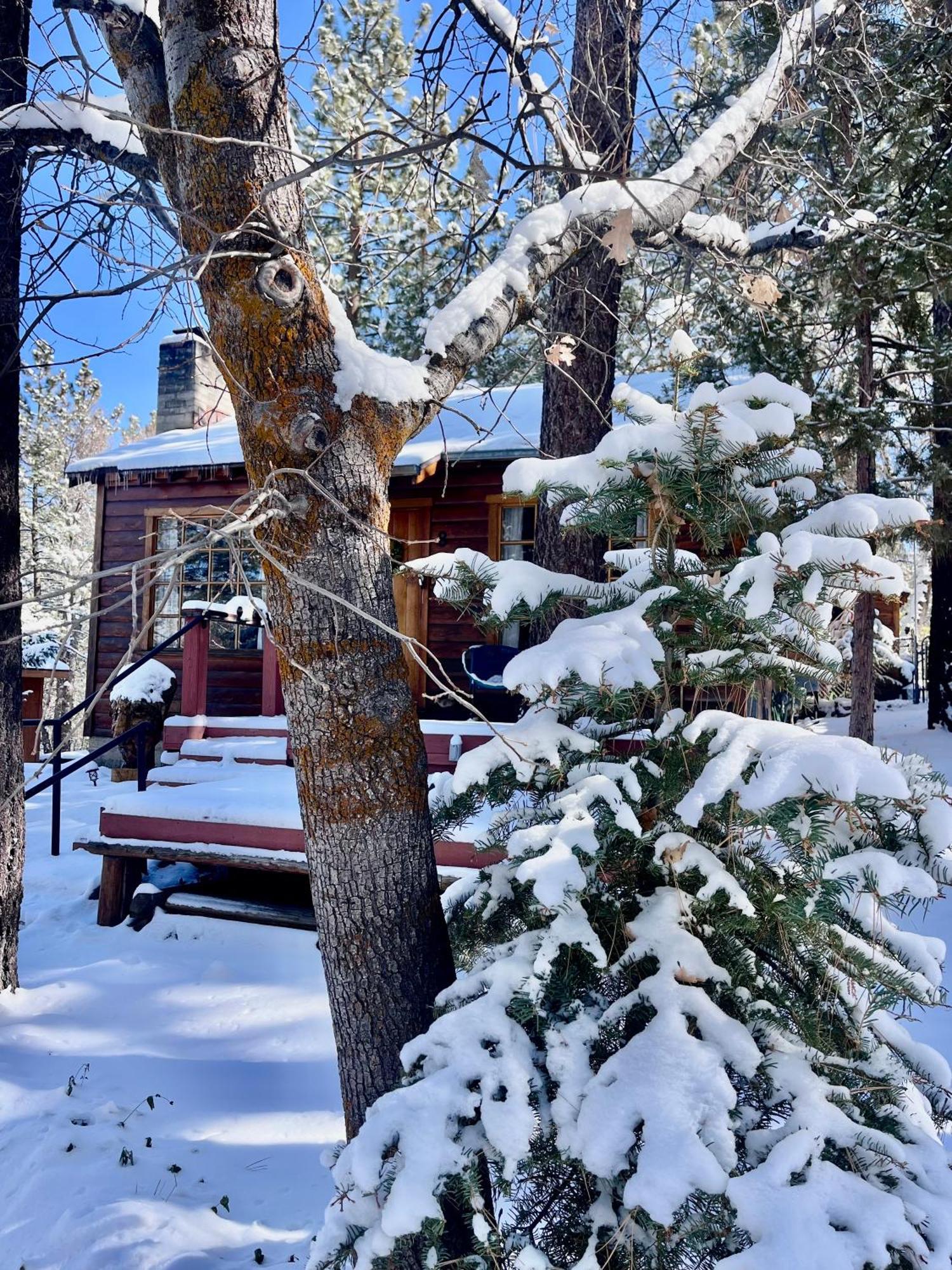 The Nest On Towne Trail - Hot Tub, Bbq, Fire Pit Villa Big Bear Lake Exterior photo